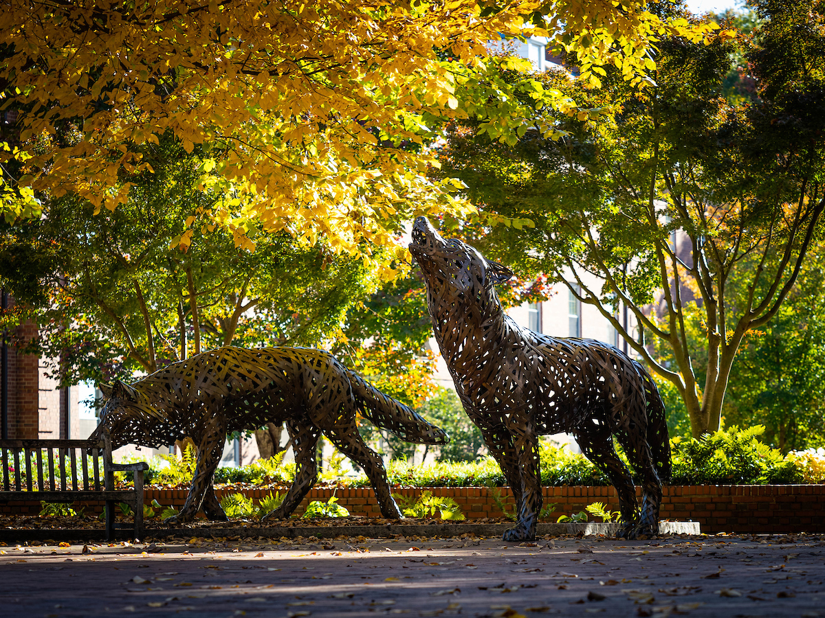 Wolf Plaza during fall