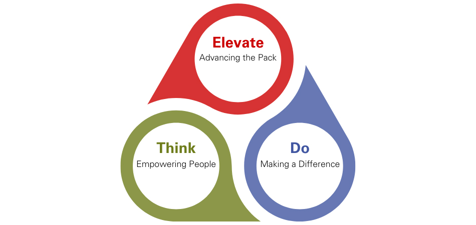 Think, Do, Elevate